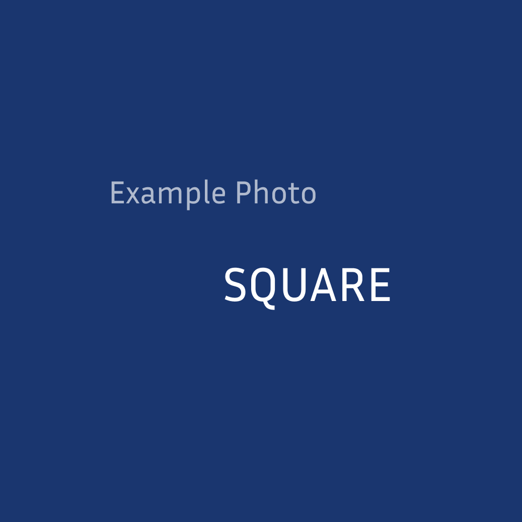 temporary placeholder